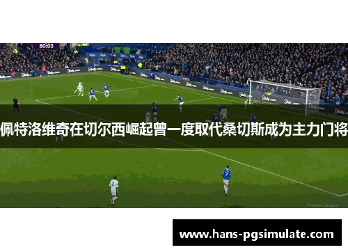 佩特洛维奇在切尔西崛起曾一度取代桑切斯成为主力门将